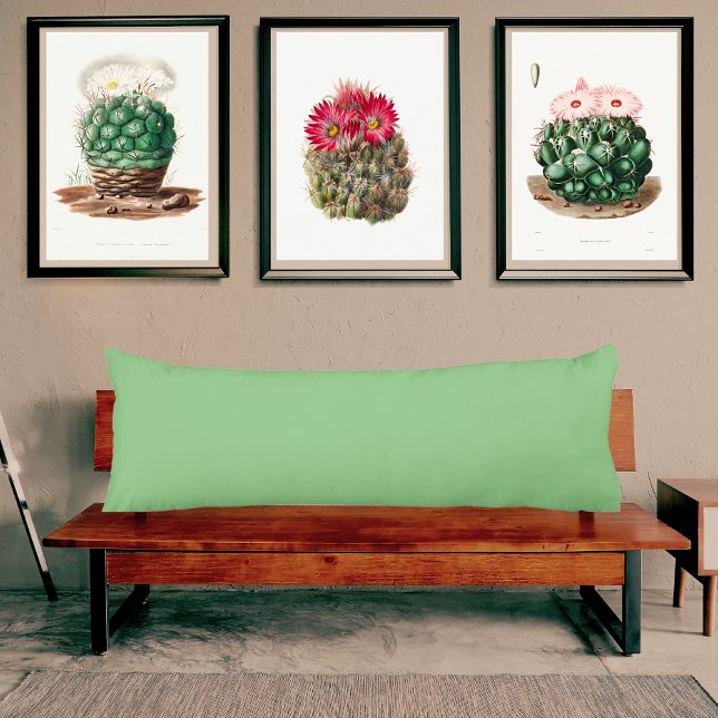 Sage Green light muted solid colour pillow (Creator Uploaded)