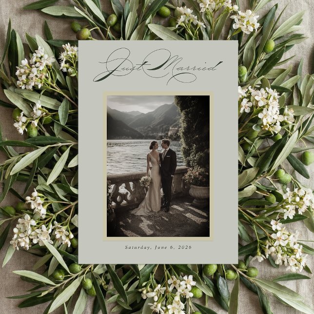 Sage Green Olive Branch Monogram Just Married Holiday Card (Creator Uploaded)