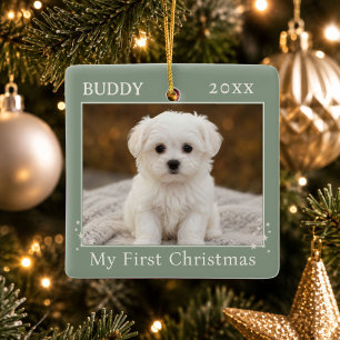 Sage Green Personalised First Christmas Dog Photo Ceramic Ornament