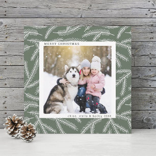 Sage Green Pine Branch Christmas Photo Square Holiday Card