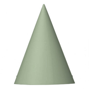 Sage Green Solid Color Party Hat