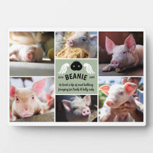 Sage Green Wings Pig Snout Memorial Photo Collage Plaque