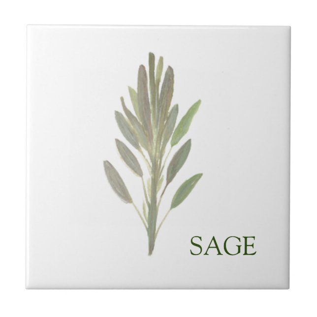Sage Herb Greenery Kitchen Culinary Green Plant  Tile (Front)