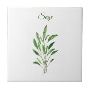 Sage Herb Greenery Kitchen Culinary Green Rustic Tile