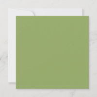 Sage Olive Green Solid Colour