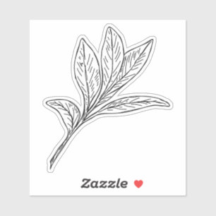 Sage Sticker