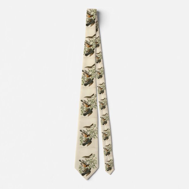 Sage Thrasher and Varied Thrush, Audubon's Birds Tie (Front)