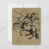 Sagittarius Constellation Hevelius 1690 Engraving