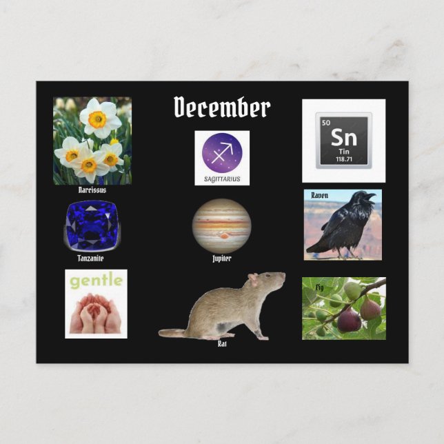 Sagittarius  December Birth Month  POSTCARD (Front)