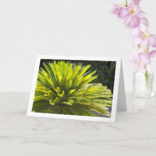 Sago Palm Plant Card