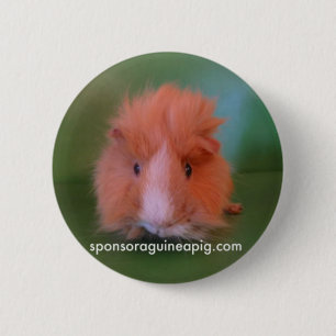 SAGP Button
