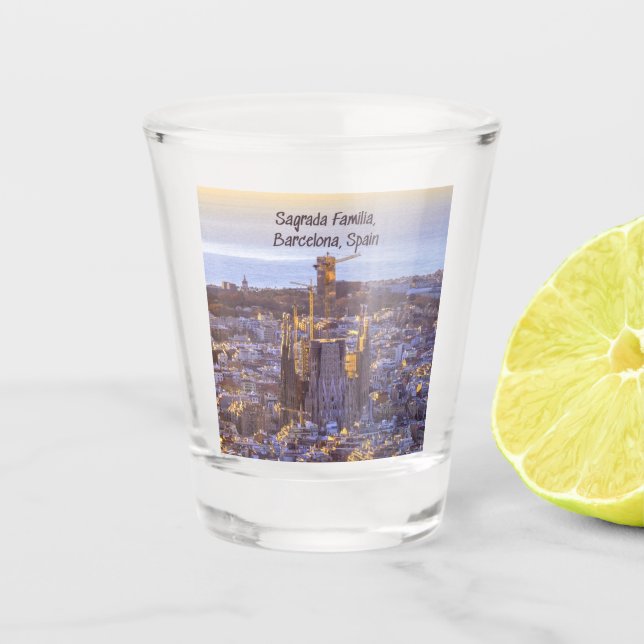 Sagrada Familia Catholic Church, Barcelona, Spain Shot Glass (Front)
