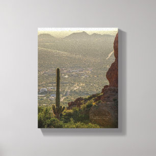 Saguaro Cactus Apache Junction & Pheonix AZ 8 x 10 Canvas Print