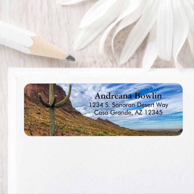 Saguaro Cactus Arizona Blue Sky Dramatic Clouds (Insitu)