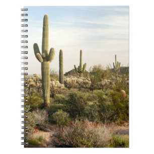 Saguaro Cactus, Arizona,USA Spiral Notebook