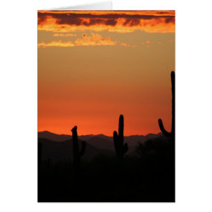 Saguaro Cactus at Sunset