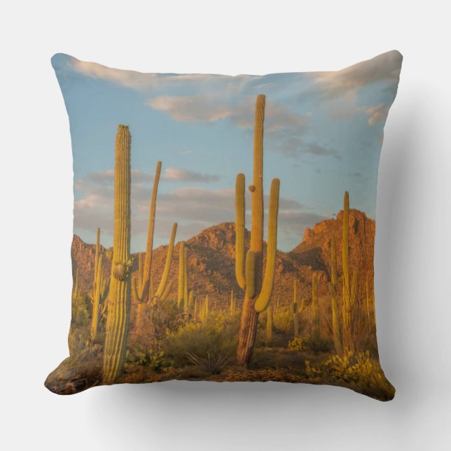 Saguaro cactus at sunset, Arizona Cushion (Front)