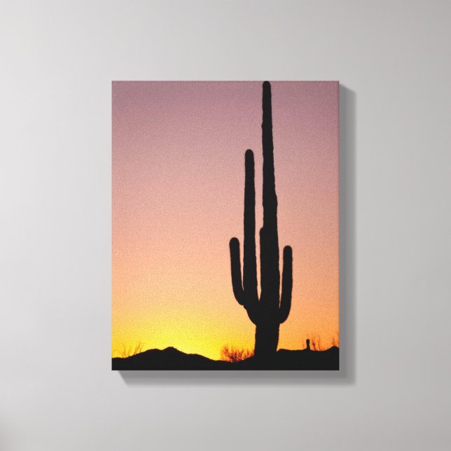 Saguaro Cactus at Sunset Canvas Print (Front)