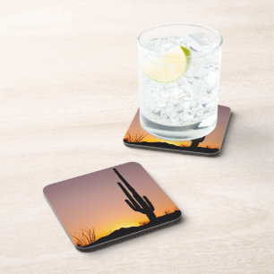 Saguaro Cactus at Sunset Coaster