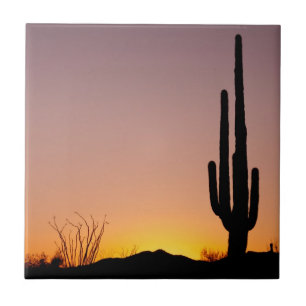 Saguaro Cactus at Sunset Tile