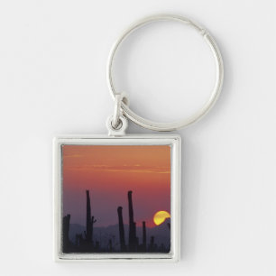 Saguaro Cactus Carnegiea gigantea), Sunset, Key Ring