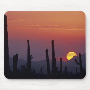 Saguaro Cactus Carnegiea gigantea), Sunset, Mouse Pad