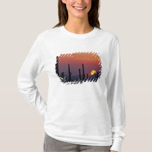 Saguaro Cactus Carnegiea gigantea), Sunset, T-Shirt