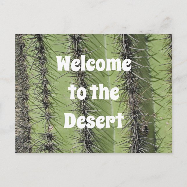 Saguaro Cactus Desert Photo Realty Appreciation Postcard (Front)