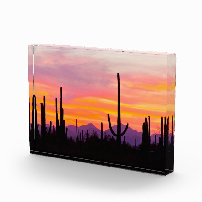 Saguaro Cactus Forest at Sunset Photo Block (Right)
