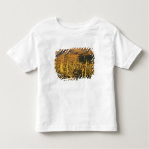 Saguaro cactus in Saguaro National Park near Toddler T-Shirt