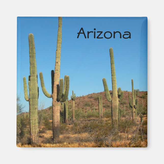 Saguaro cactus magnet (Front)