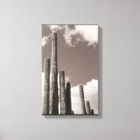 Saguaro Cactus Pipes Desert B&W Photo Art Print