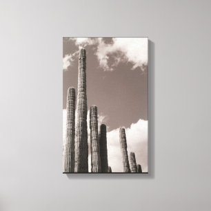 Saguaro Cactus Pipes Desert B&W Photo Art Print
