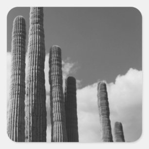 Saguaro Cactus Pipes Desert Custom Sticker Decals