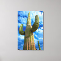 Saguaro cactus portrait, Arizona