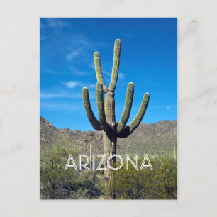 Saguaro Cactus Postcard
