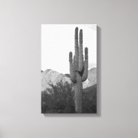 Saguaro Cactus Sonoran Desert B&W Photo Art Prints