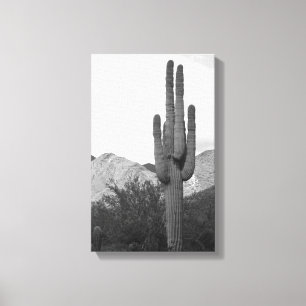 Saguaro Cactus Sonoran Desert B&W Photo Art Prints