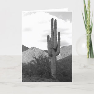 Saguaro Cactus Sonoran Desert Photo Greeting Card