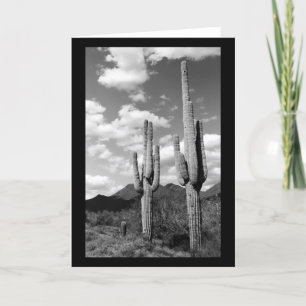 Saguaro Cactus Sonoran Desert Photo Greeting Cards