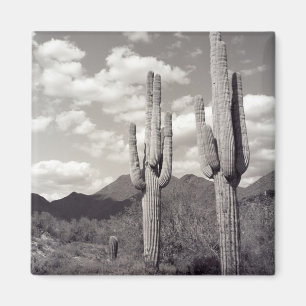 Saguaro Cactus Sonoran Desert Refrigerator Magnet