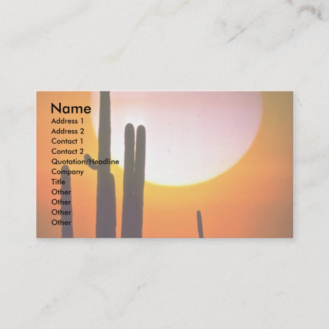 Saguaro cactus, Sonoran Desert, U.S.A. Desert Business Card (Front)