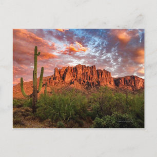 Saguaro Cactus Superstition Mountain Sunset Clouds Postcard