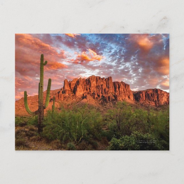 Saguaro Cactus Superstition Mountain Sunset Clouds Postcard (Front)
