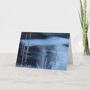 Saguaro Cactus Vision Quest, Esoteric Nature Card