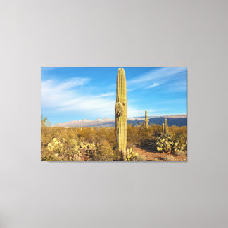 Saguaro Canvas Print
