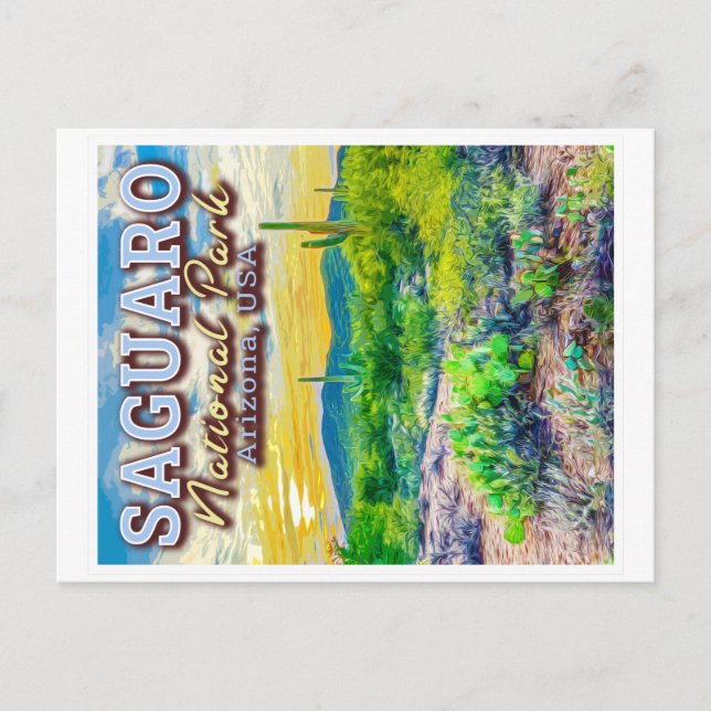 SAGUARO NATIONAL PARK - ARIZONA UNITED STATES POSTCARD (Front)