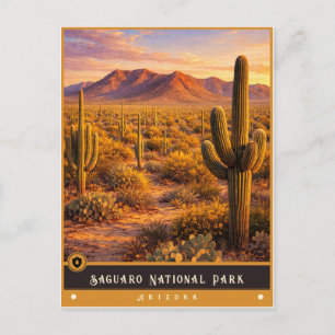 Saguaro National Park Arizona Vintage Postcard
