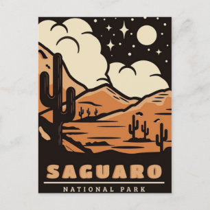 Saguaro National Park Arizona Vintage travel retro Postcard