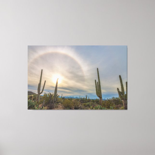 Saguaro National Park Canvas Print (Front)